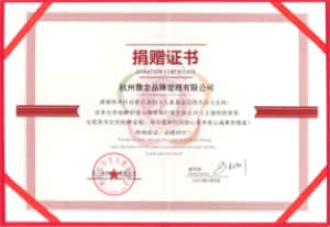 “家庭守护计划”公益项目
定向上海防疫项目荣誉证书
浙江省妇女儿童基金会